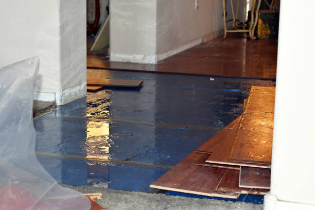 Professional Flood Cleanup technician working in Grove City, FL